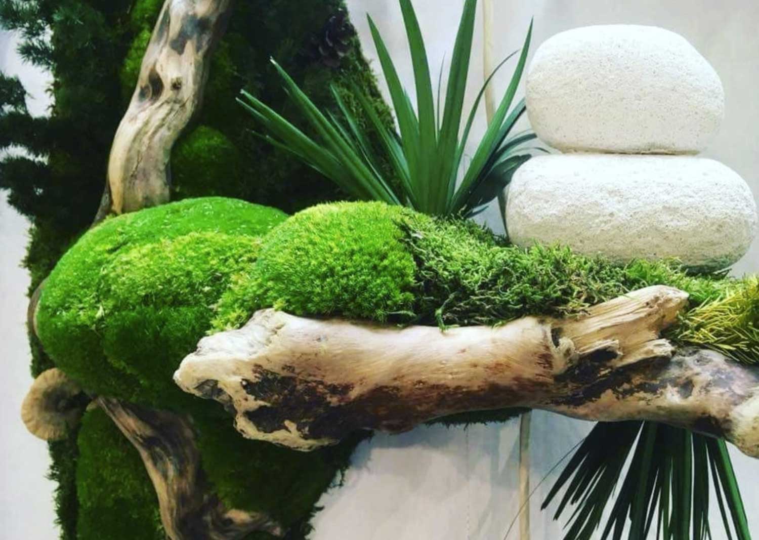 Photo d'un décor végétal stabilisé