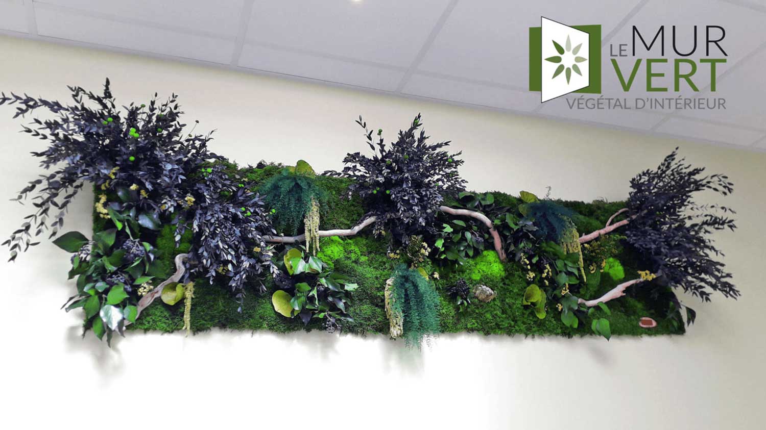 Photo d'une décoration végétale stabilisée sur un mur