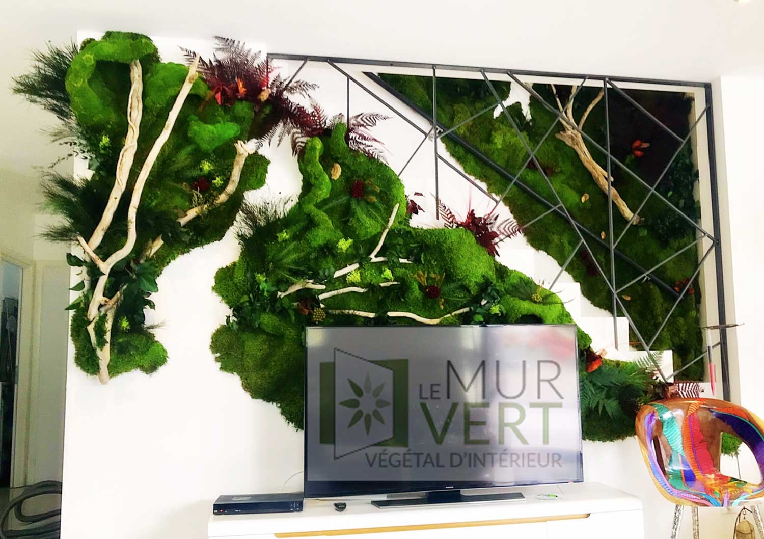 Photo d'un mur végétal stabilisé dans un salon