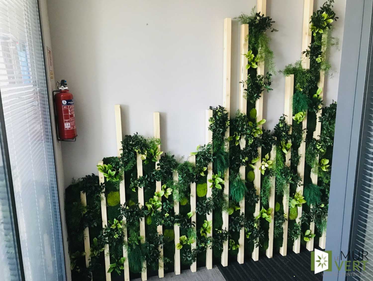 Photo d'un mur végétal avec bois