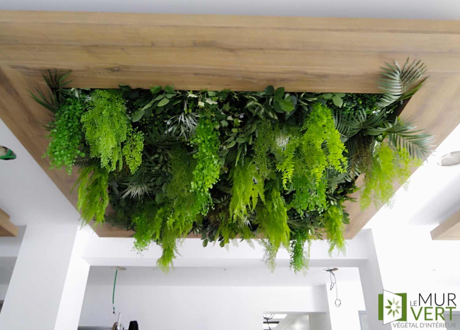 photo d'un plafond végétal