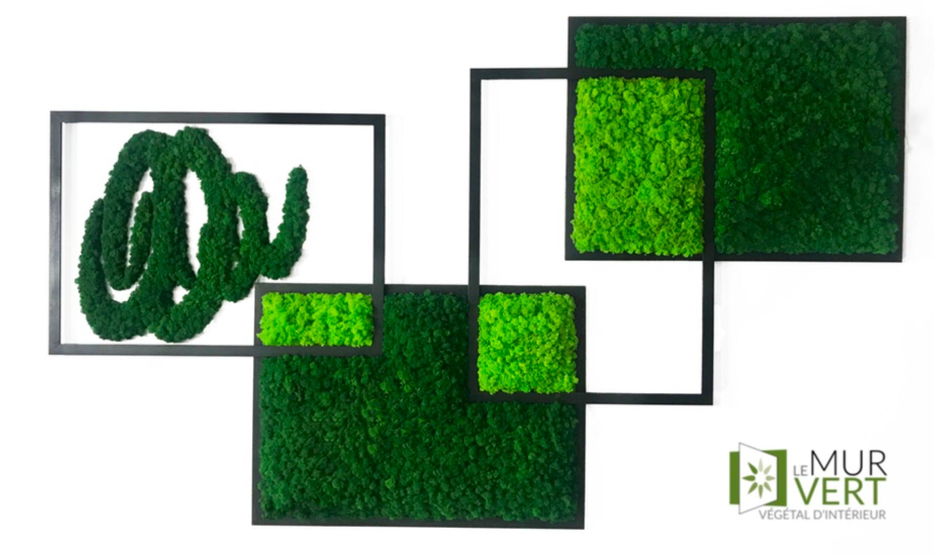 photo d'un mur en lichen